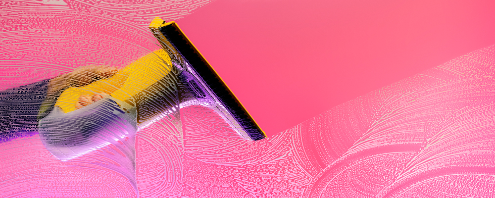 Myjka do okien WV wraz z kijem przedłużającym.